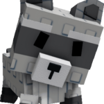 Raccoon